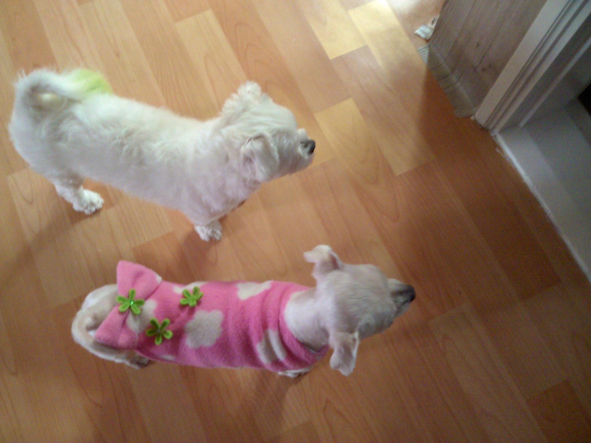 외로울틈도 아플틈도 없는 라봉