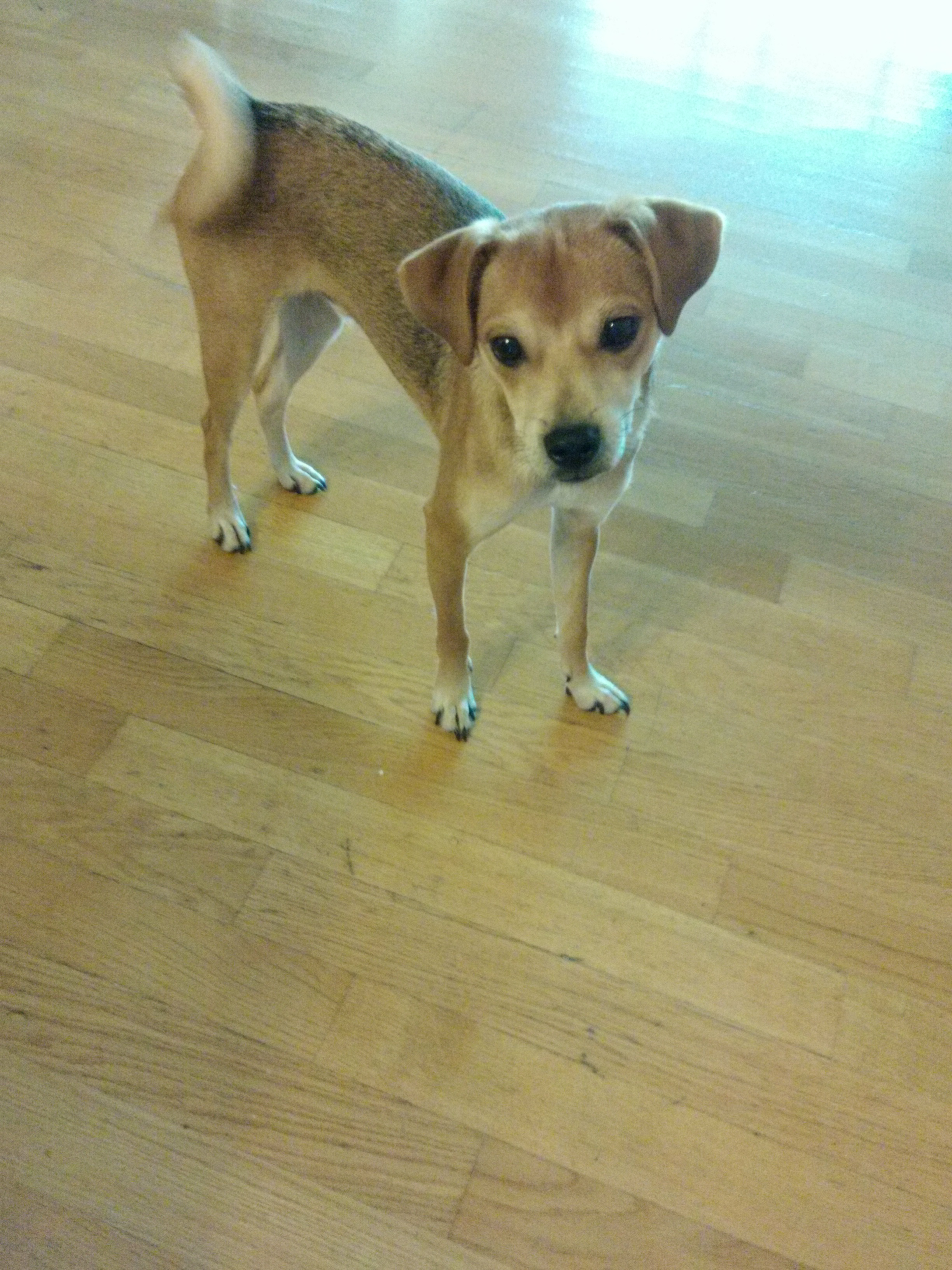 다온이소식 이요 ~!!