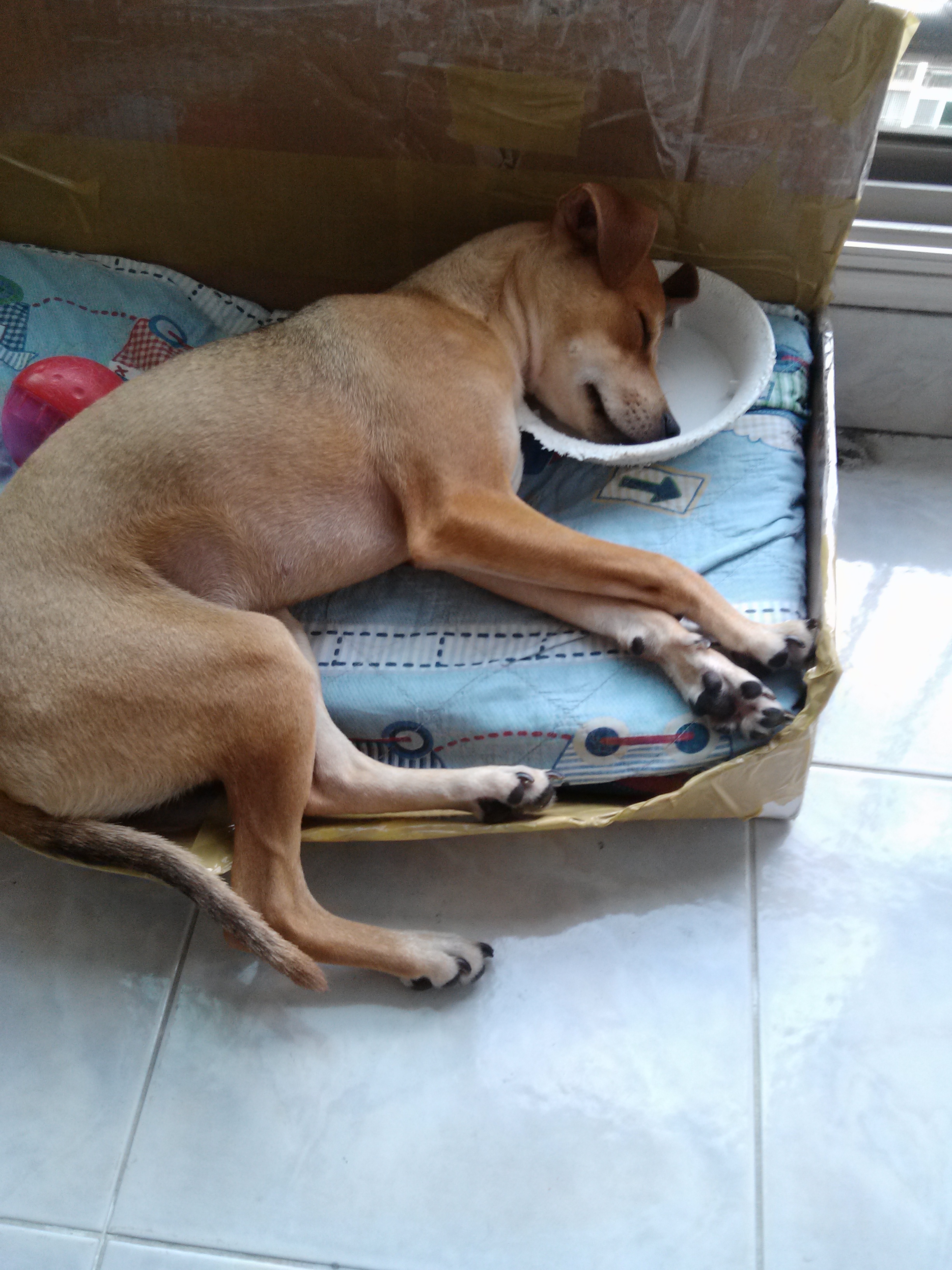 다온이소식 이요 ~!!