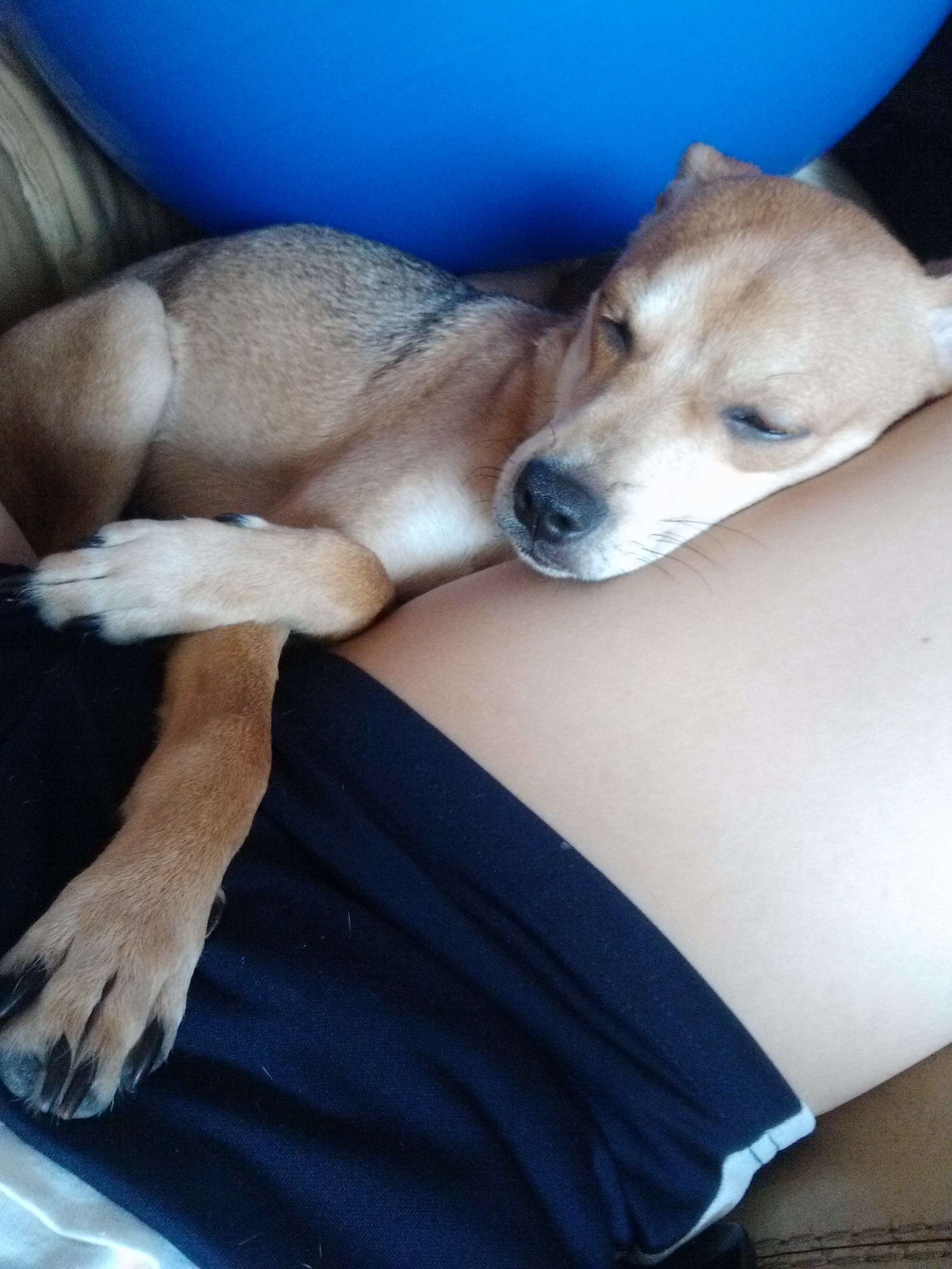 다온이소식 이요 ~!!