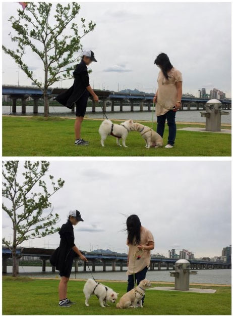 함나삶 산책정모 마루 소식이에요^^