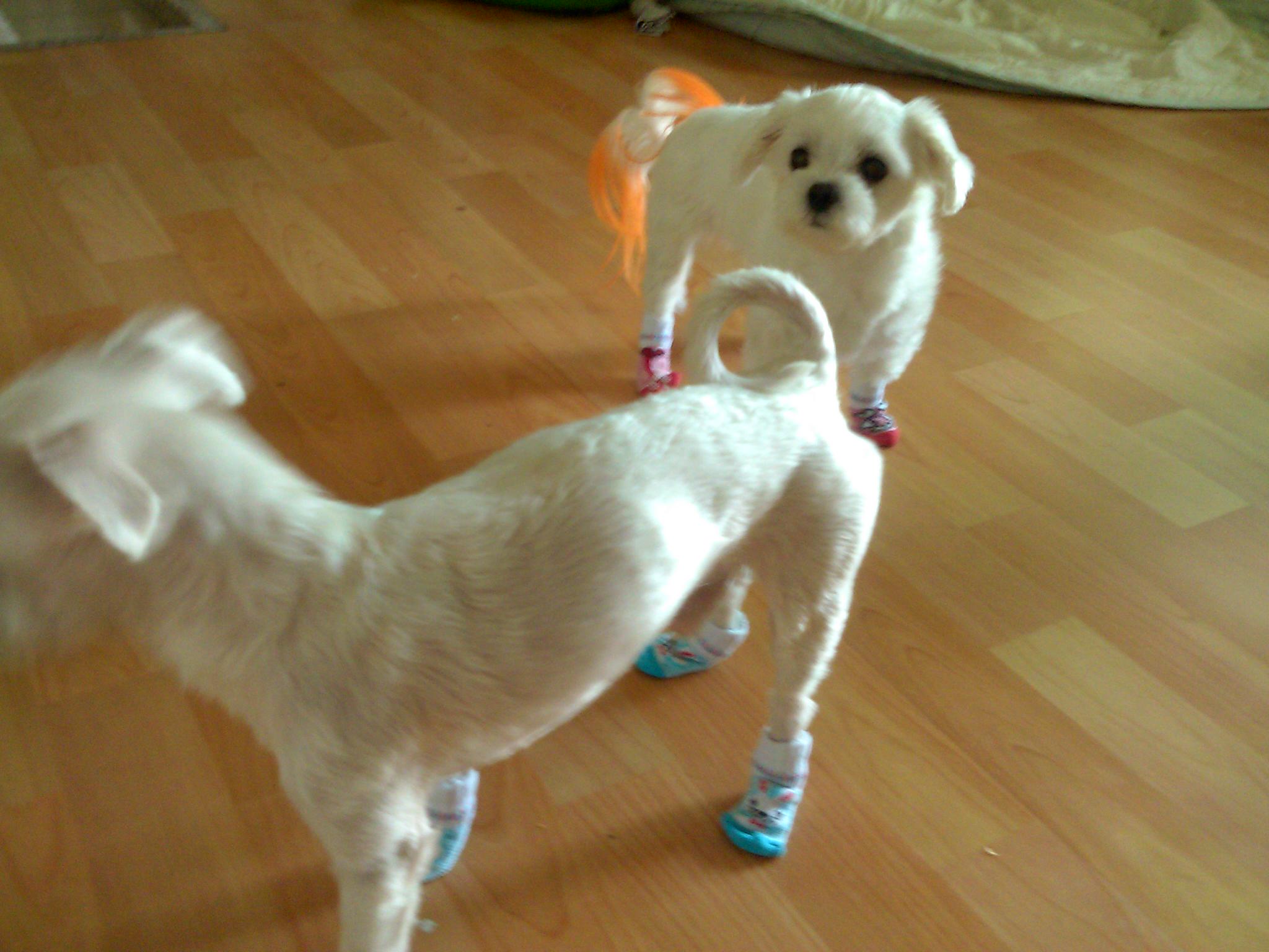 양말 금고에 넣씁니다