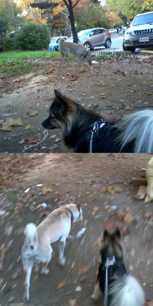 오~랜만에 베를린 소식!