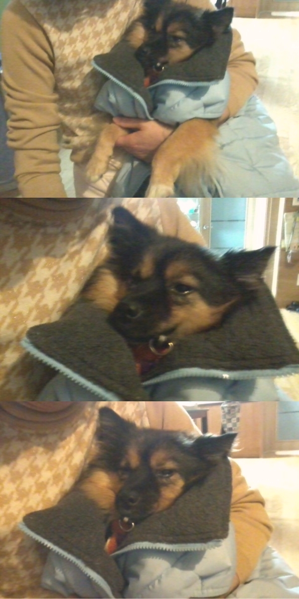 오~랜만에 베를린 소식!