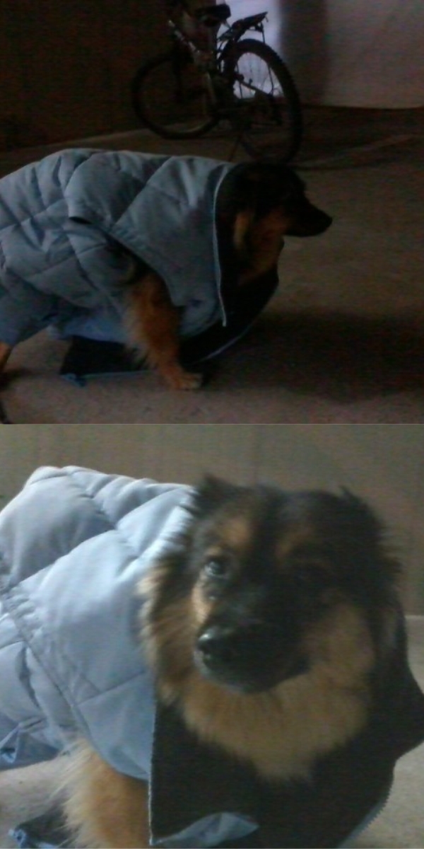 오~랜만에 베를린 소식!