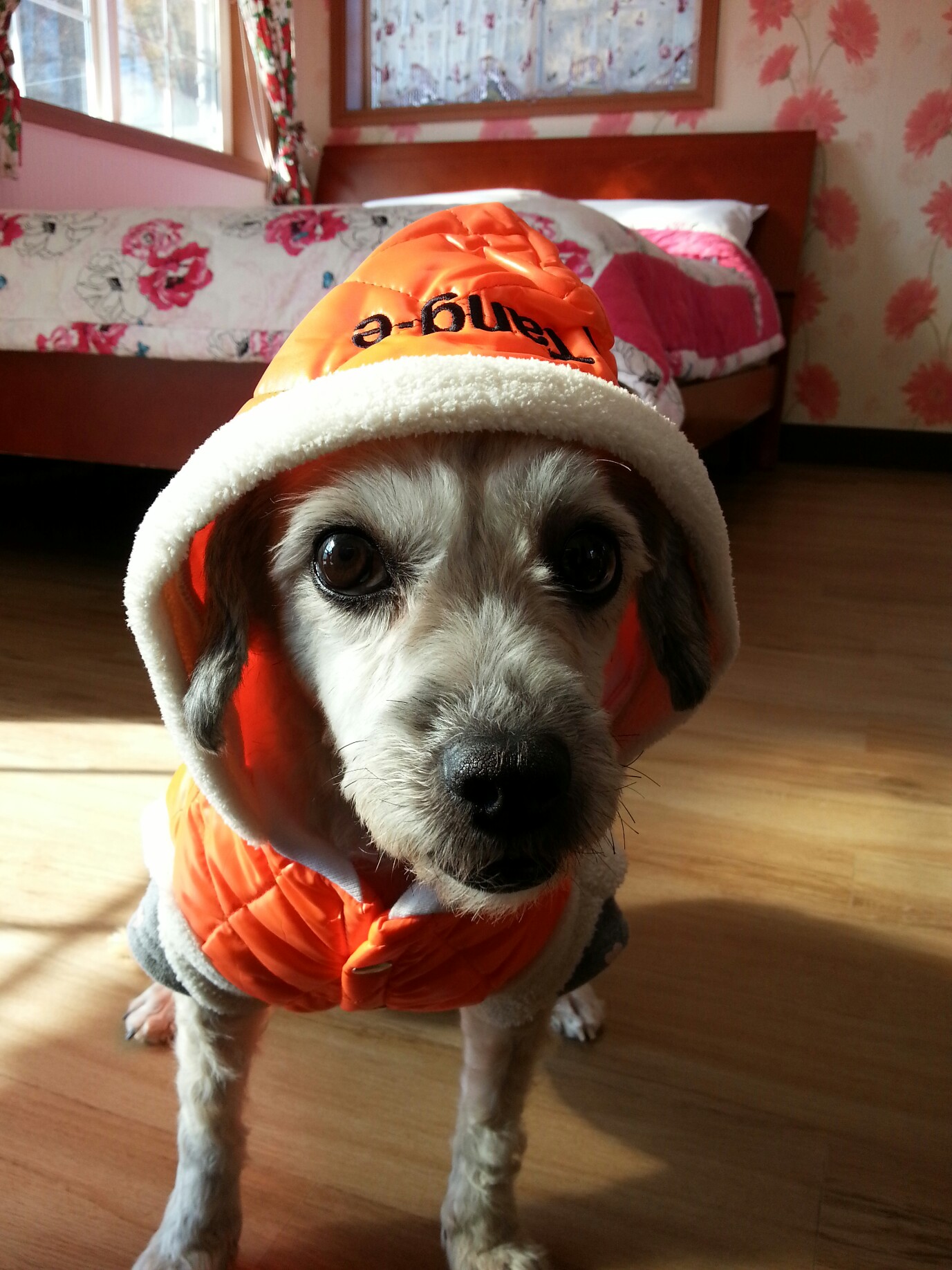 아띠&행복 첫 야외나들이