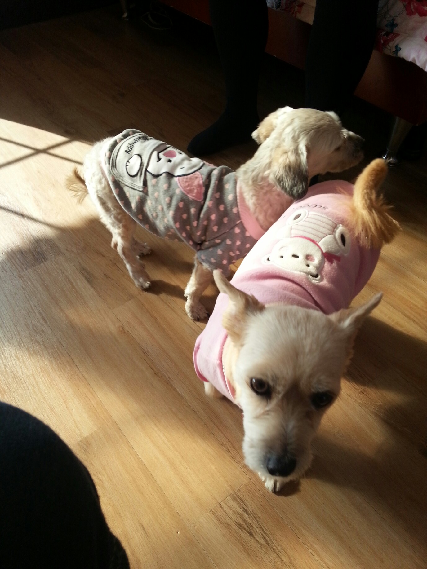 아띠&행복 첫 야외나들이