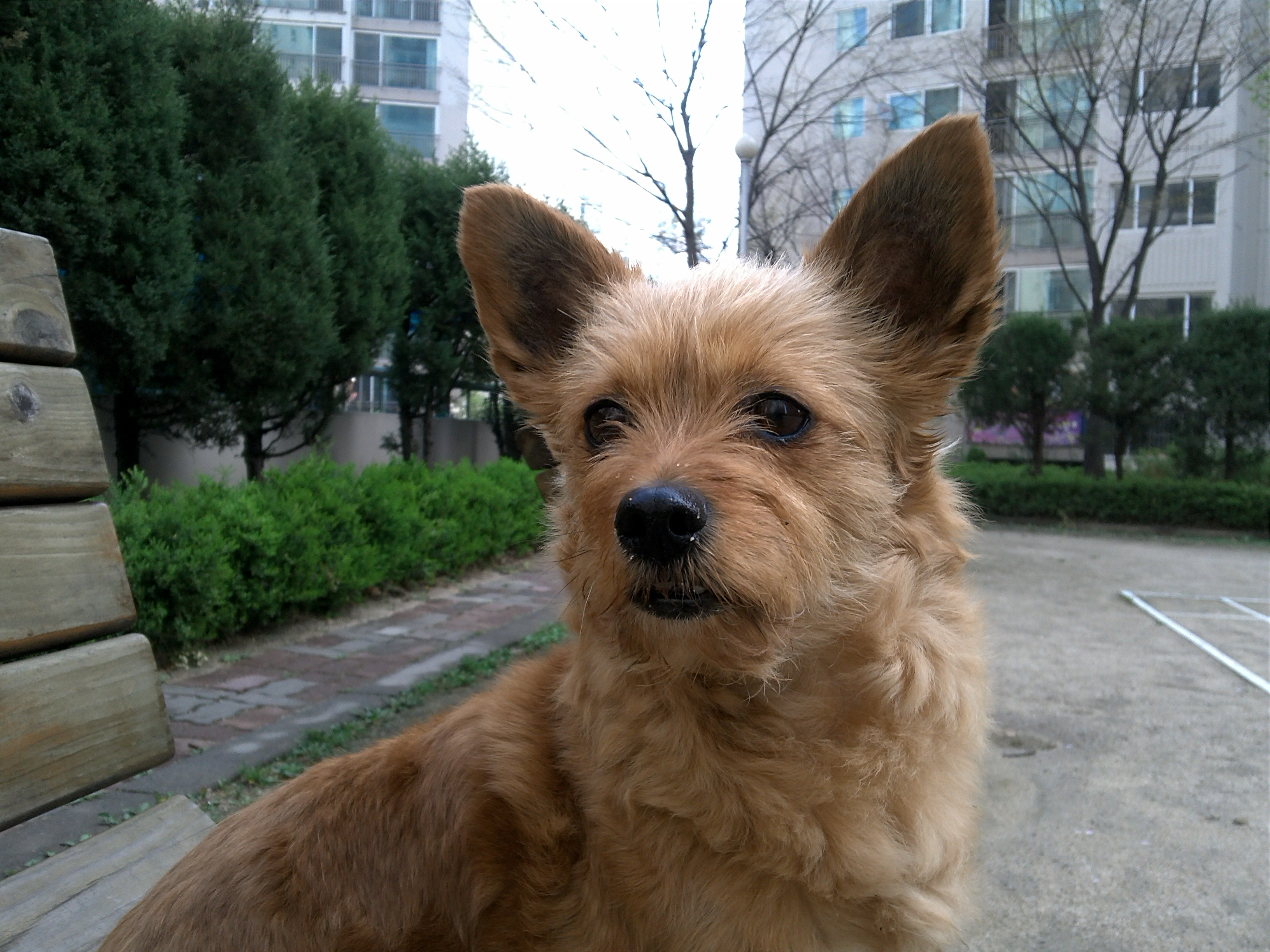 정~말 오랫만에 인사드립니다♥