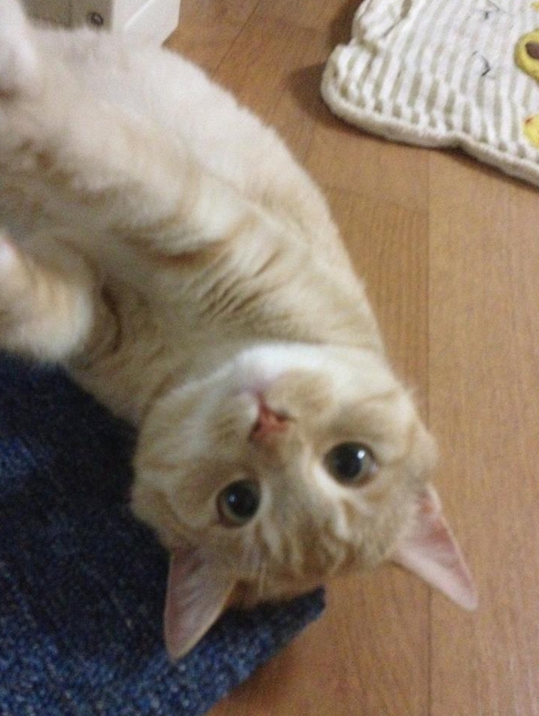 [D12-70관외]완소남 자루!