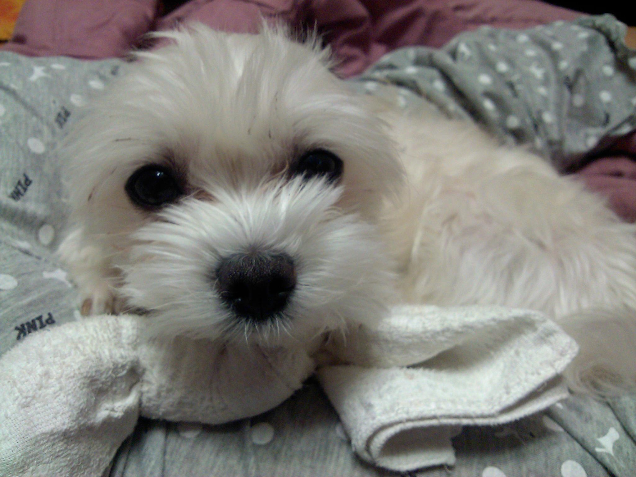 한컷이 나오기까지 ㅠ