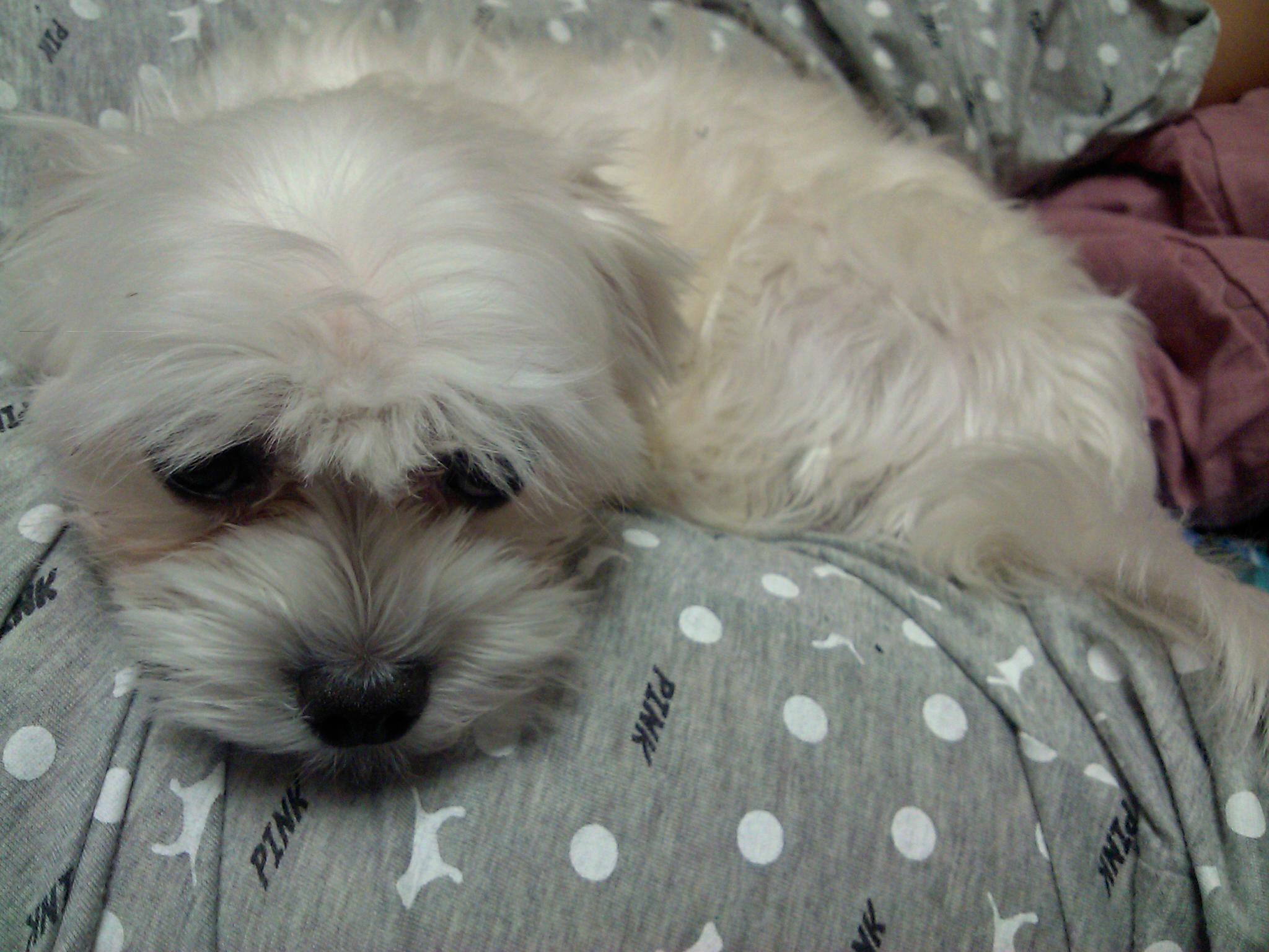 한컷이 나오기까지 ㅠ