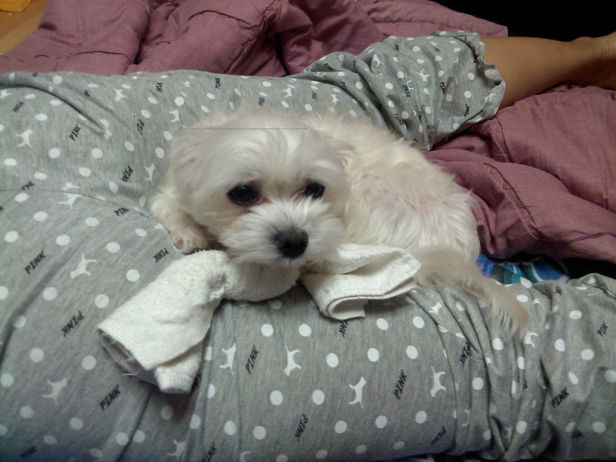 한컷이 나오기까지 ㅠ