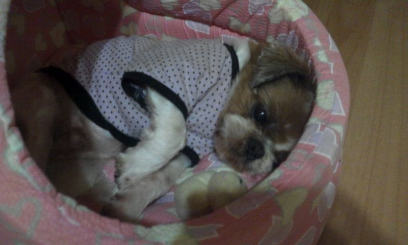 <임보중>대풍 - 뭘 봐유!!