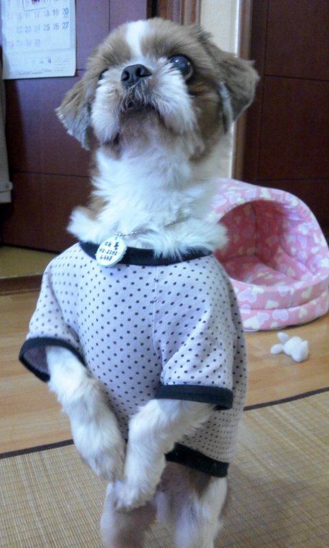 <임보중>대풍 - 뭘 봐유!!