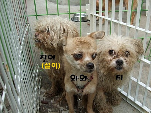 설이의 과거 ^^;;