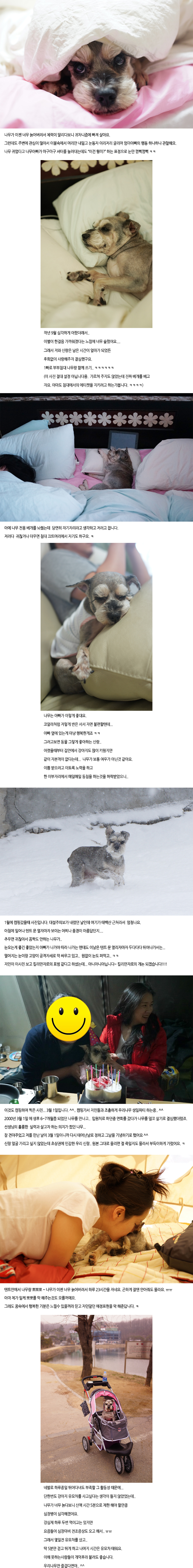 우리나무가 아주 잘 지내주고 있어요. ^^