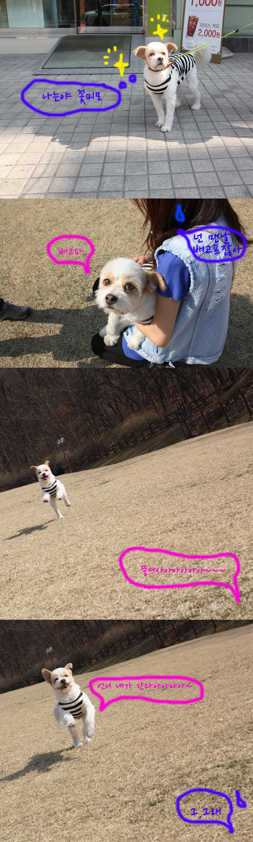 뚱순이의 봄맞이