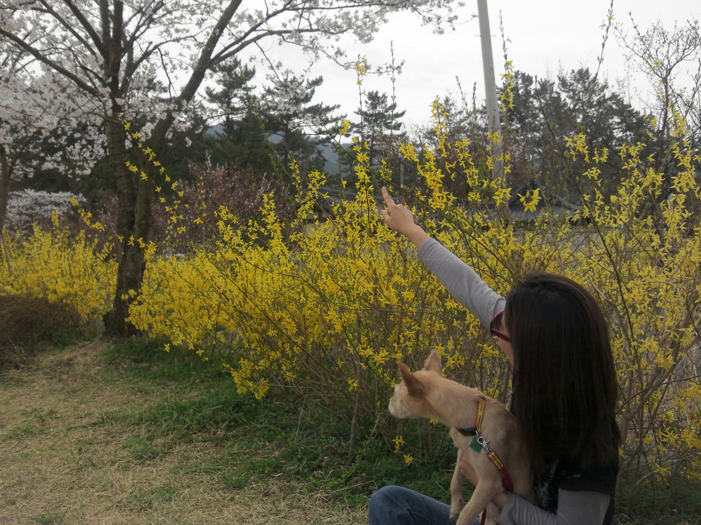 봄바람 난 뽁여사~!