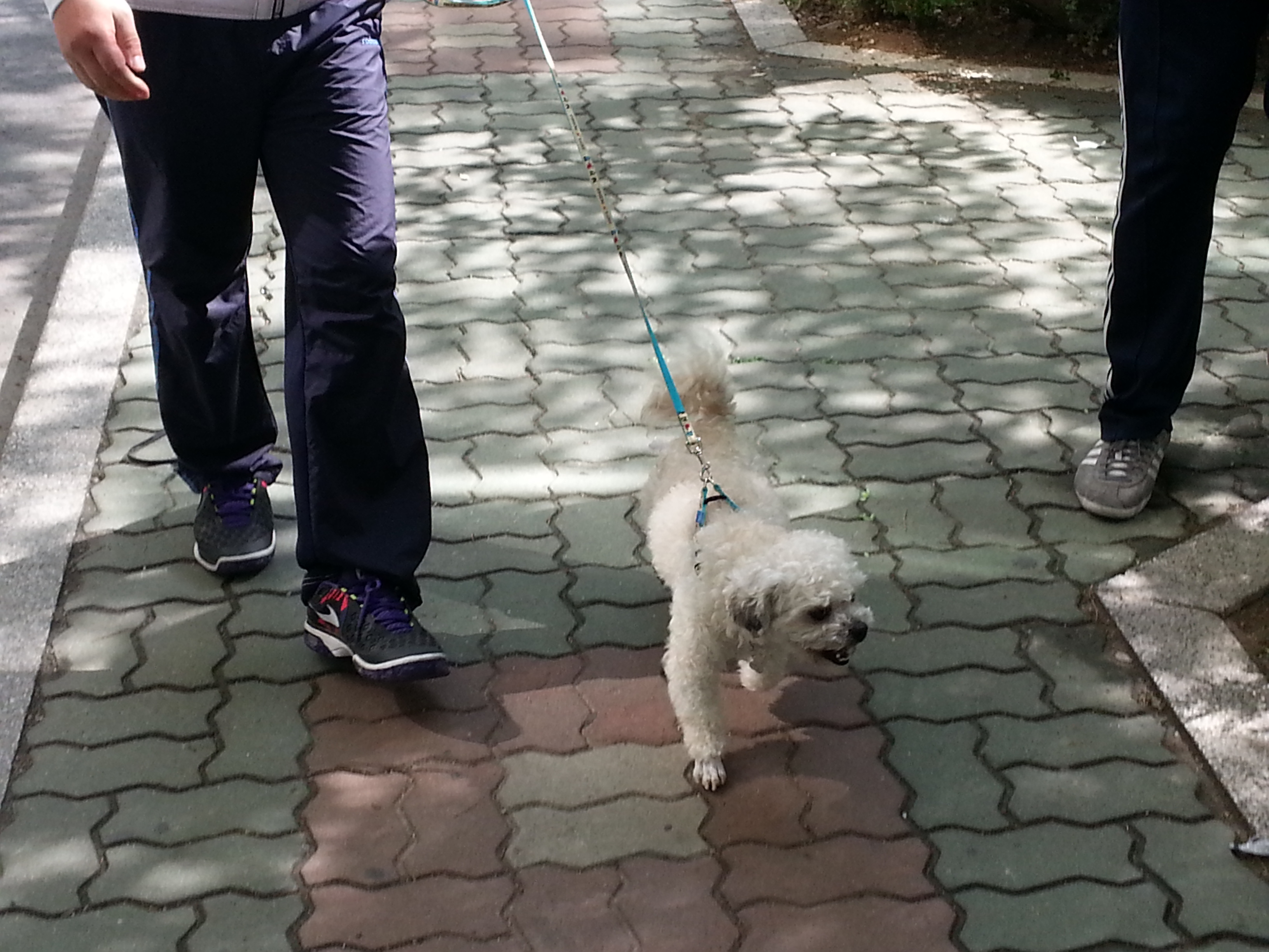 솔이 첫번째 외출