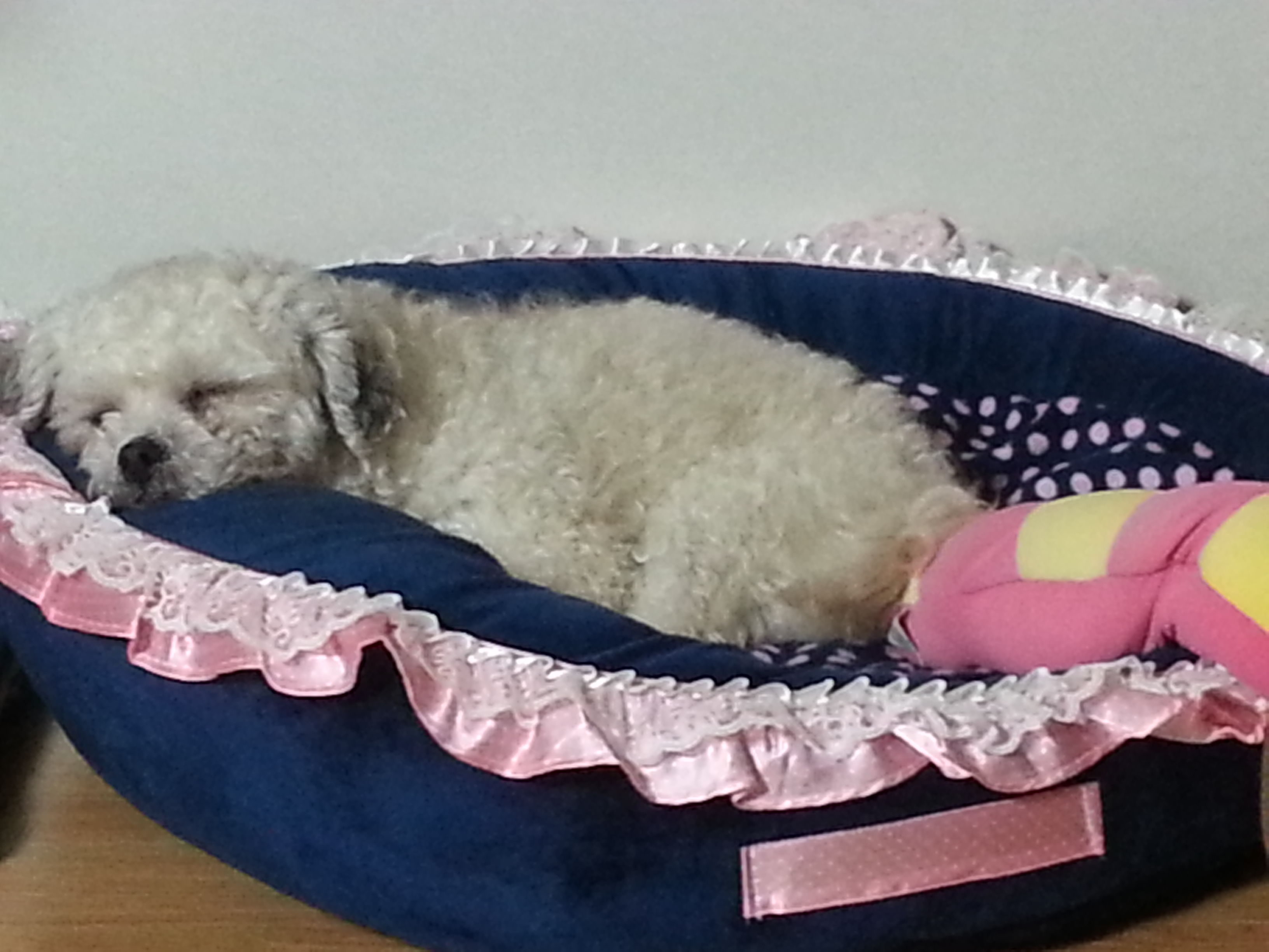 솔이 첫번째 외출