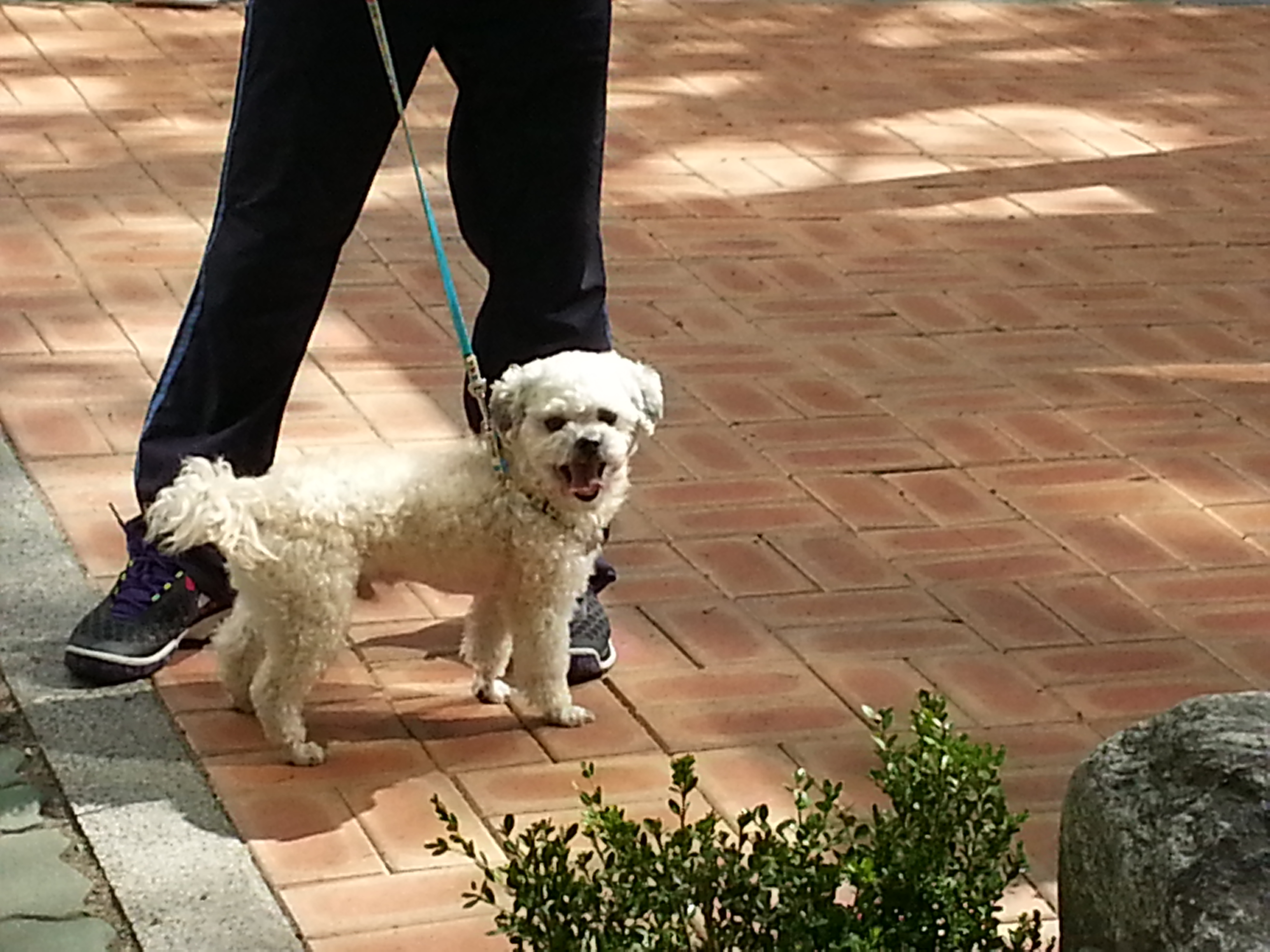 솔이 첫번째 외출