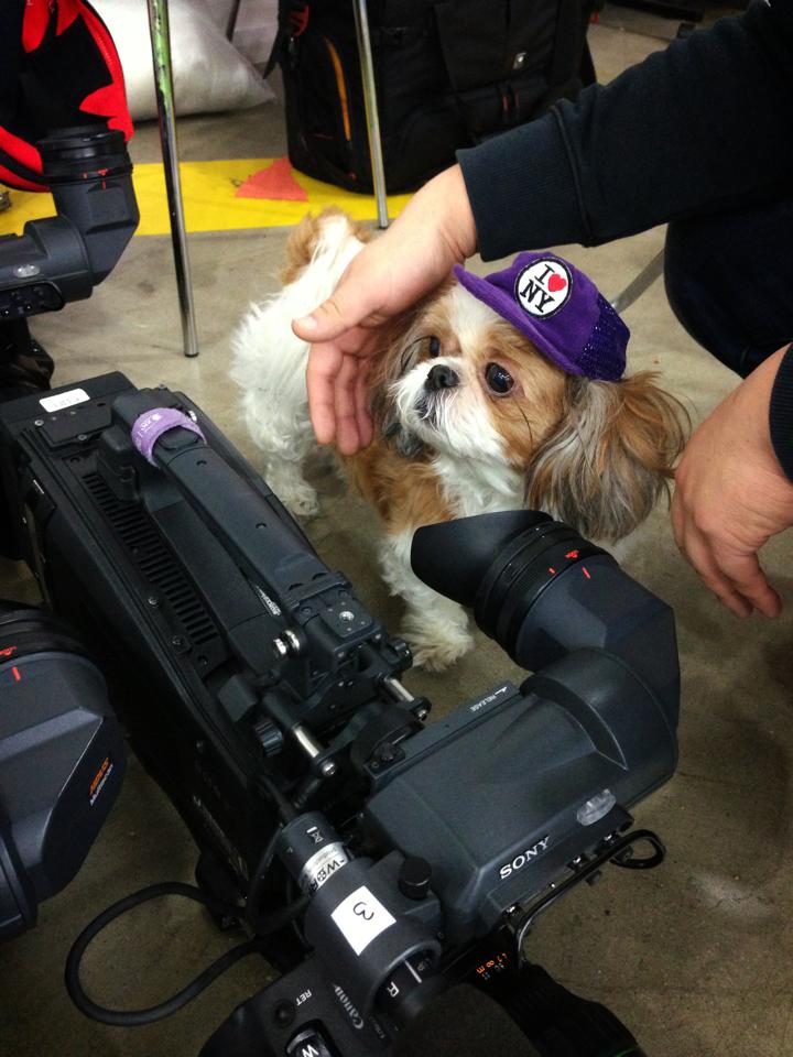 뚜비의 프런코 출연 모습 입니당 ^^