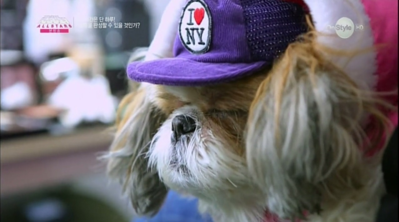 뚜비의 프런코 출연 모습 입니당 ^^