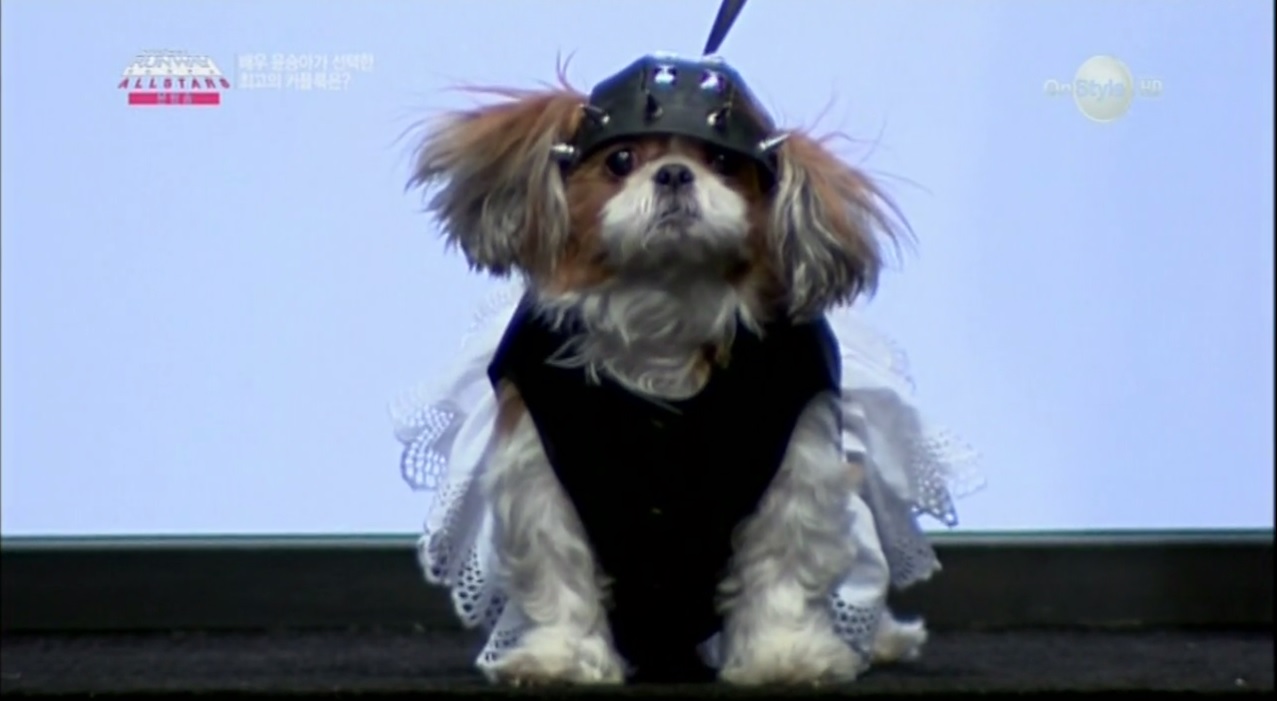 뚜비의 프런코 출연 모습 입니당 ^^