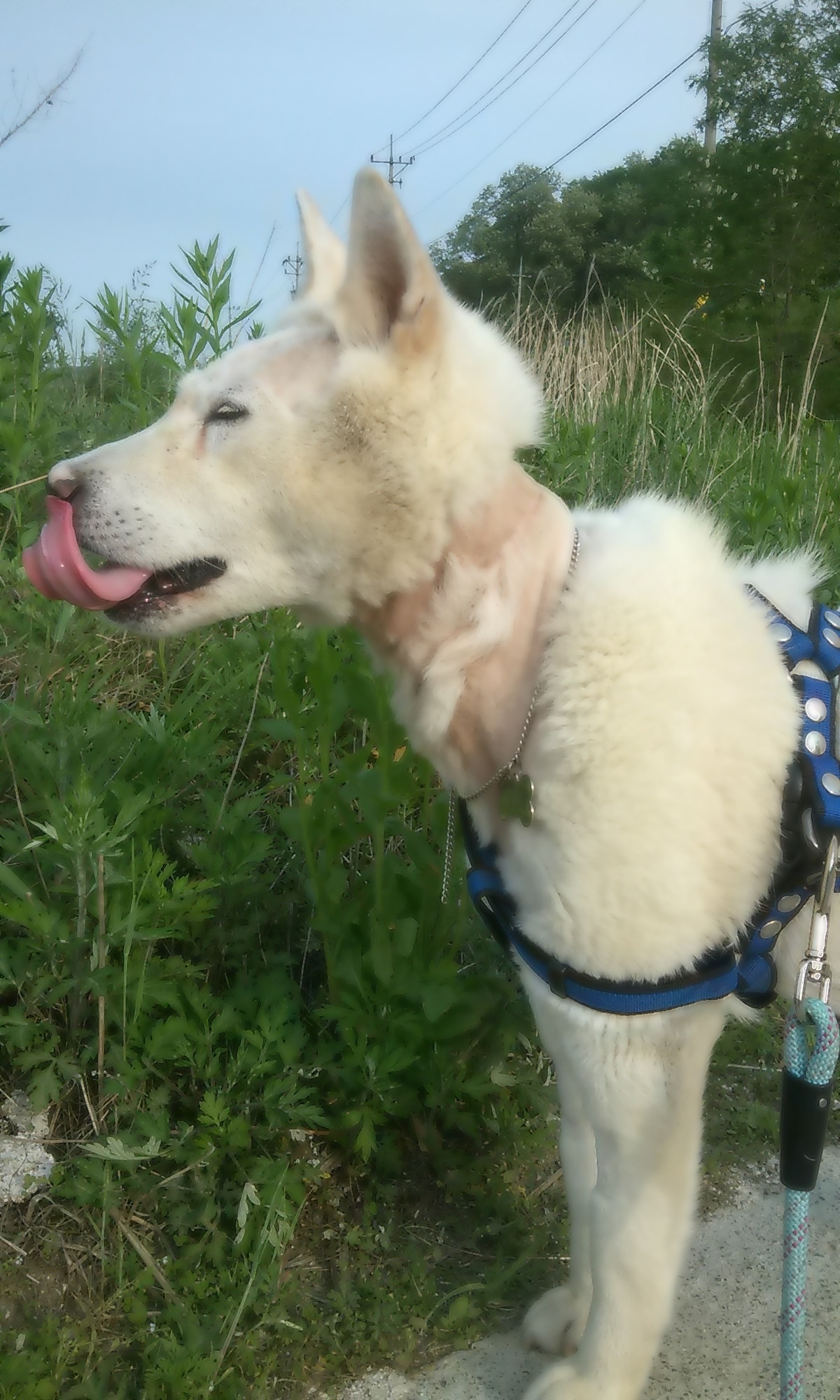 양양...사랑이 산책~