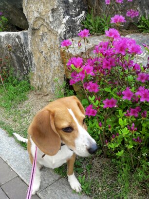 울 김해리도  2년이 다되가네요~