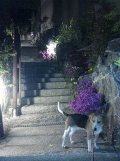 울 김해리도  2년이 다되가네요~