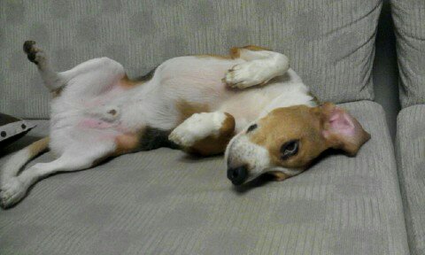 울 김해리도  2년이 다되가네요~