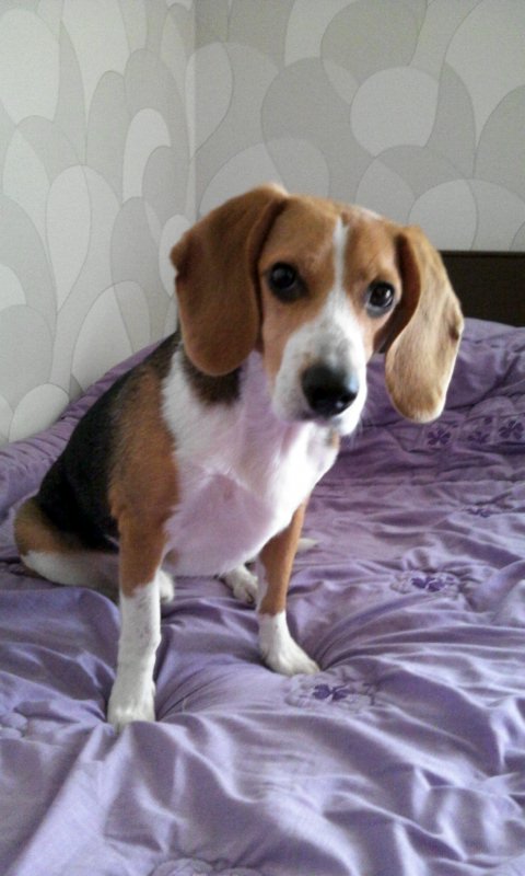 울 김해리도  2년이 다되가네요~