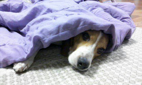 울 김해리도  2년이 다되가네요~