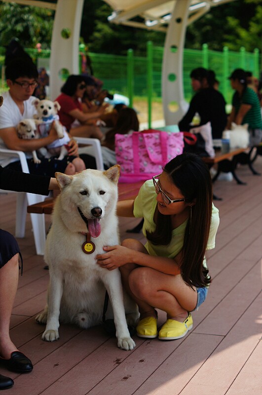 울산 태화강 공원 십리대밭길