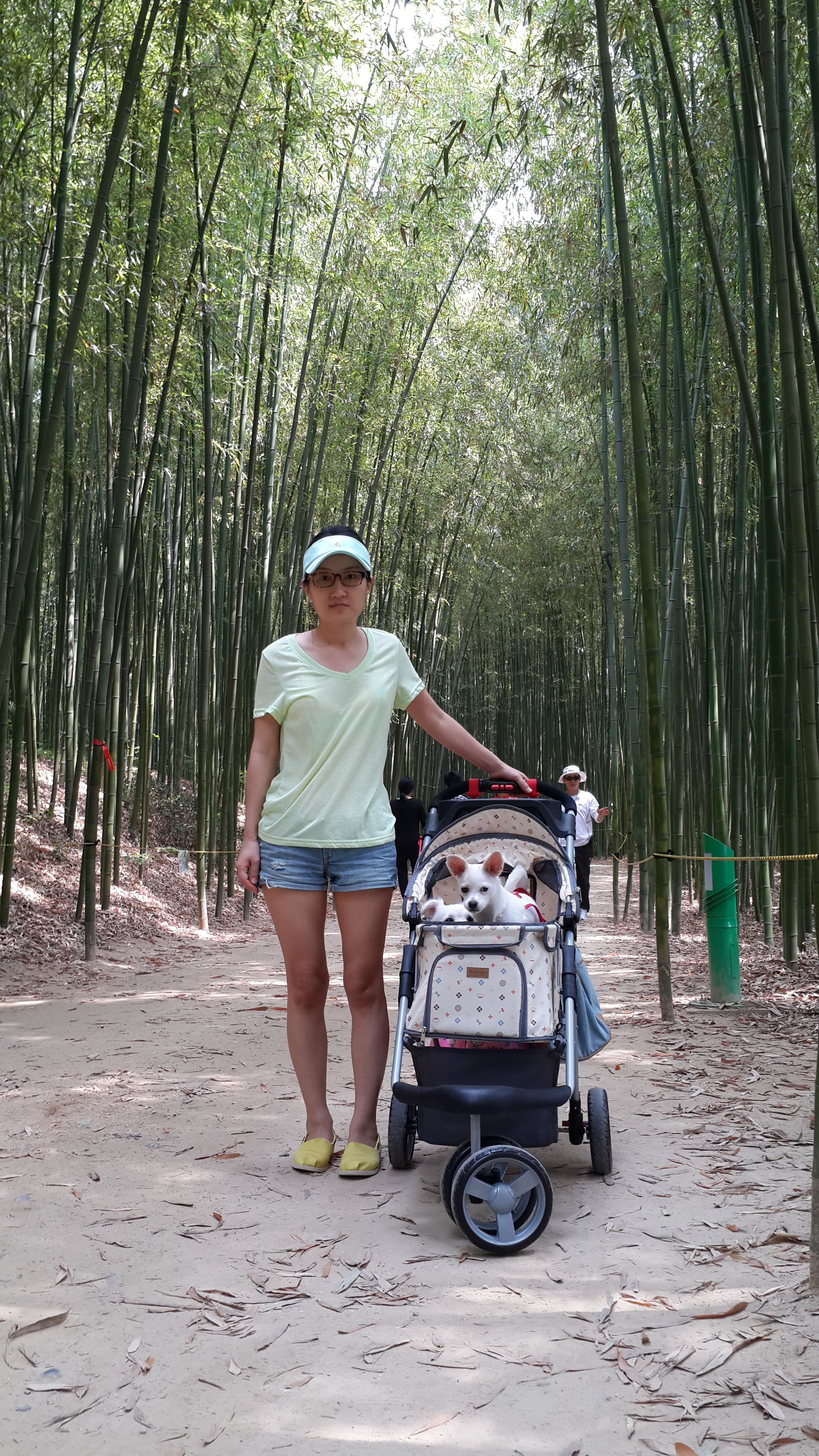 울산 태화강 공원 십리대밭길