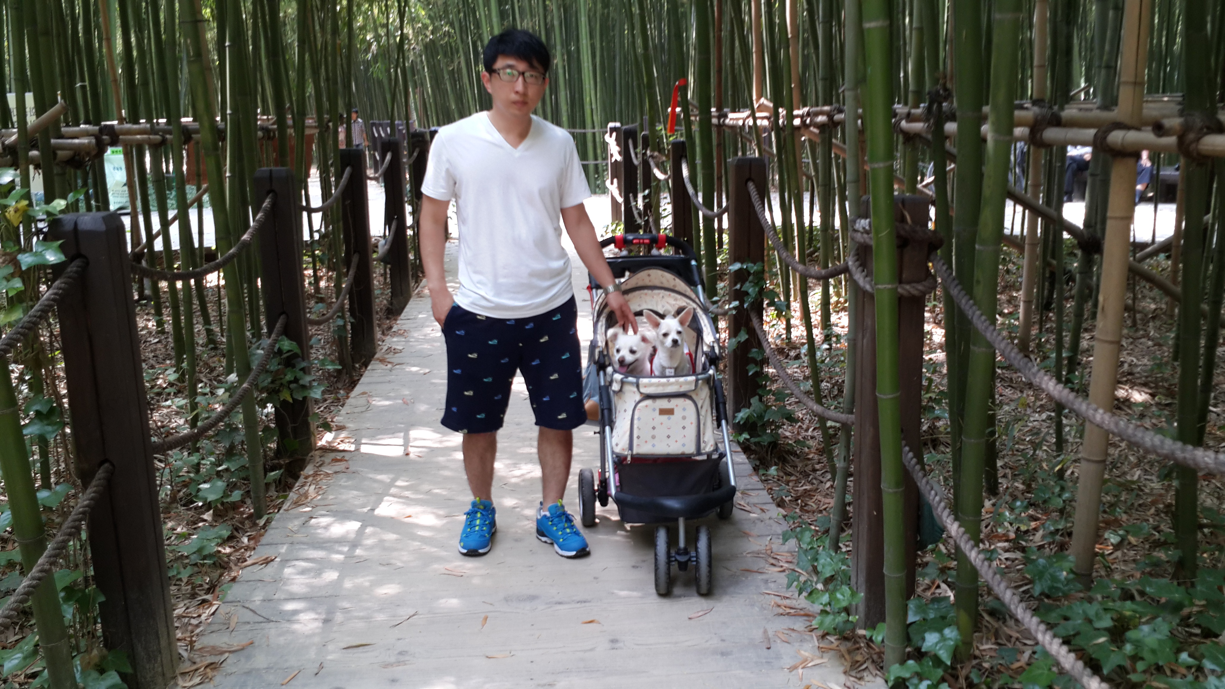 울산 태화강 공원 십리대밭길