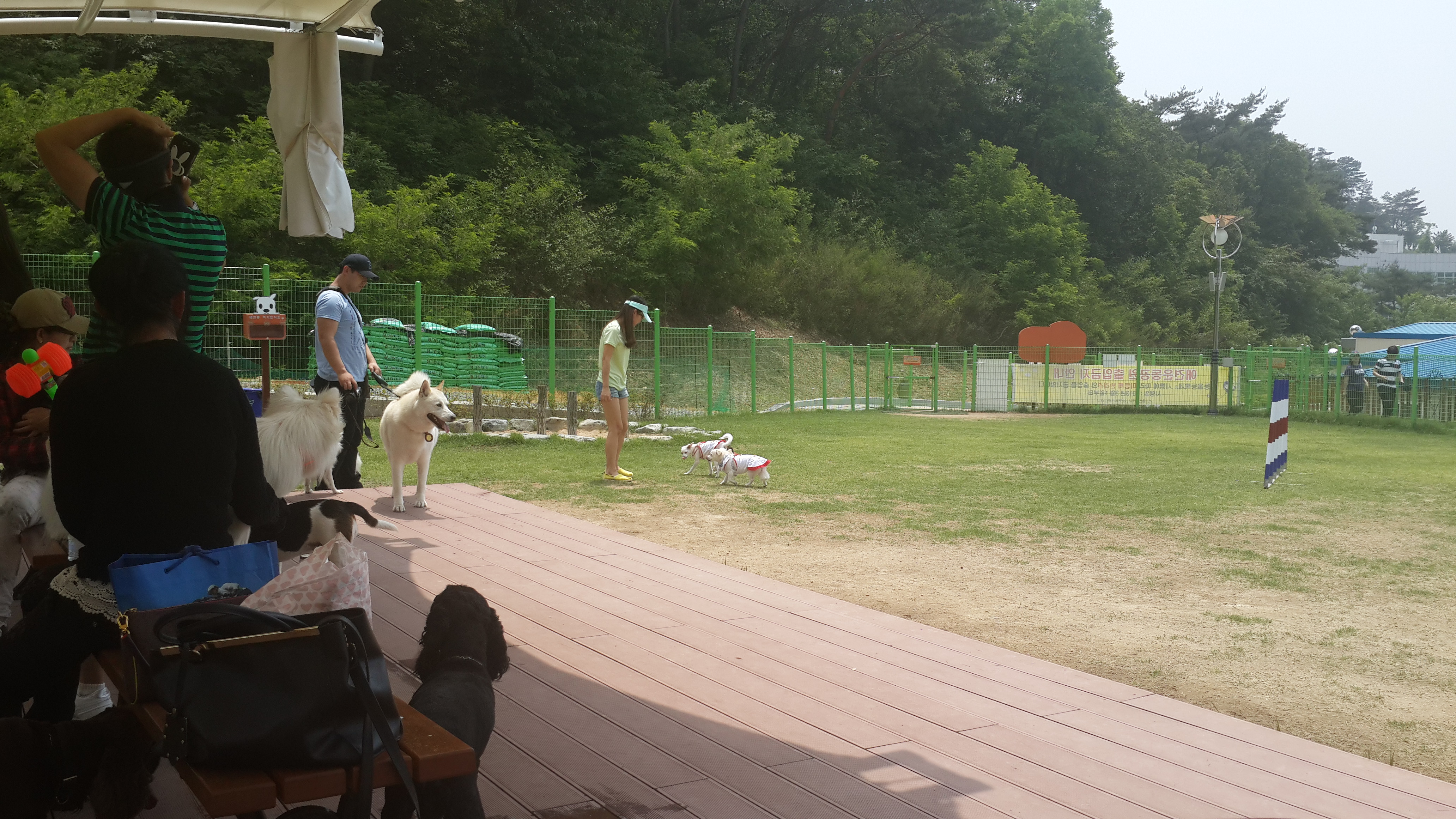 이기순님 보세요...ㅎㅎ 울산 애견 운동 공원 후기...