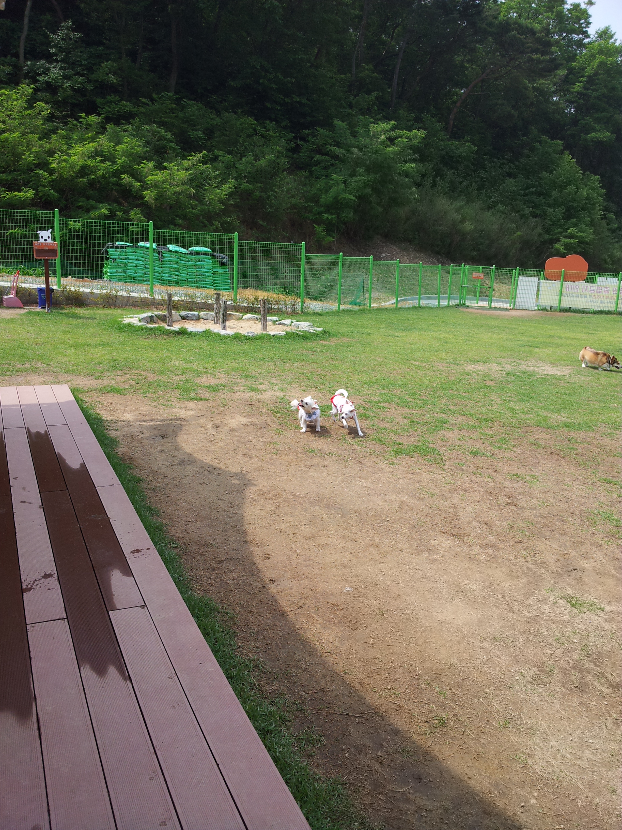 이기순님 보세요...ㅎㅎ 울산 애견 운동 공원 후기...