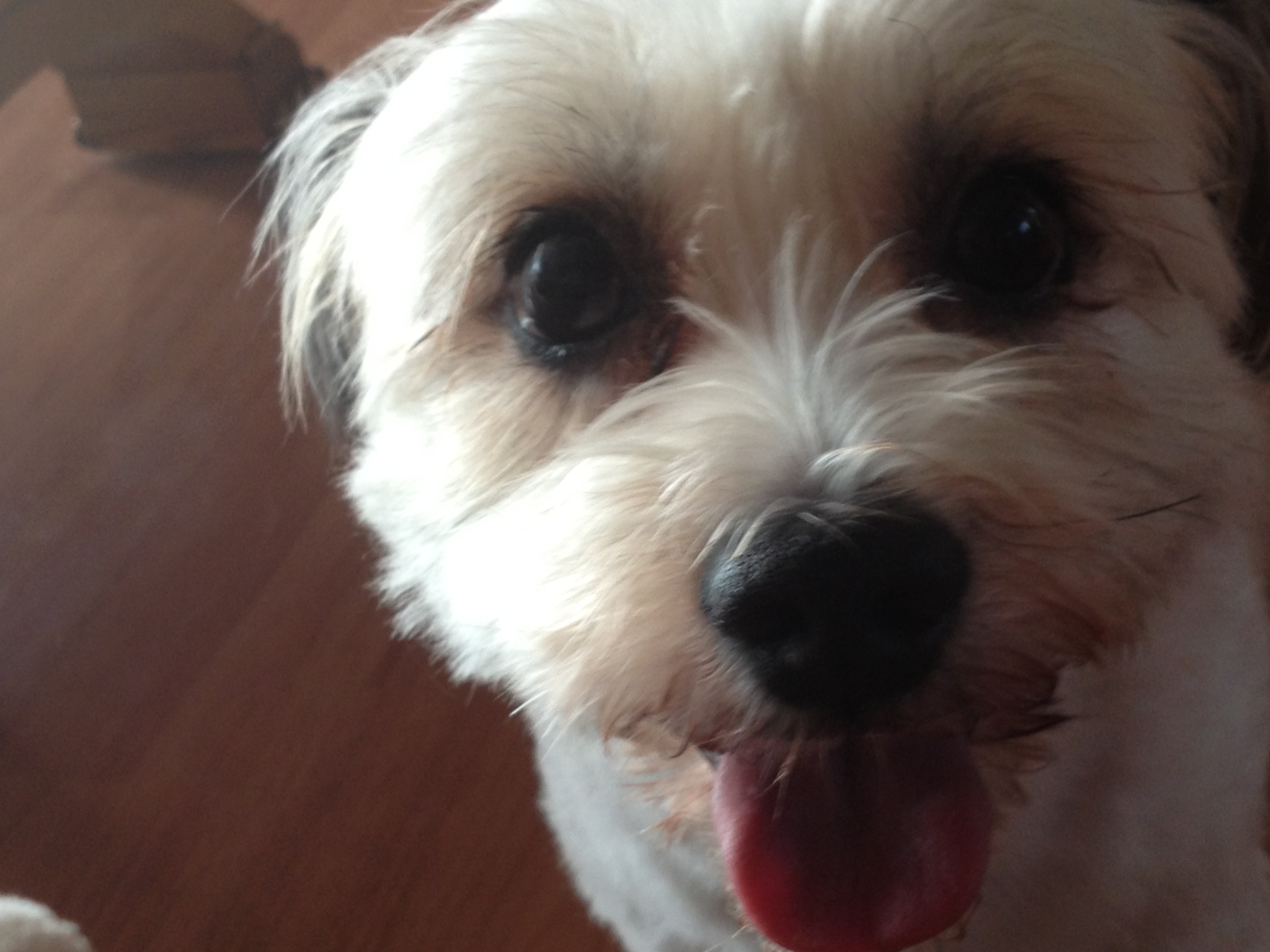 열매네 이사했어용~~~