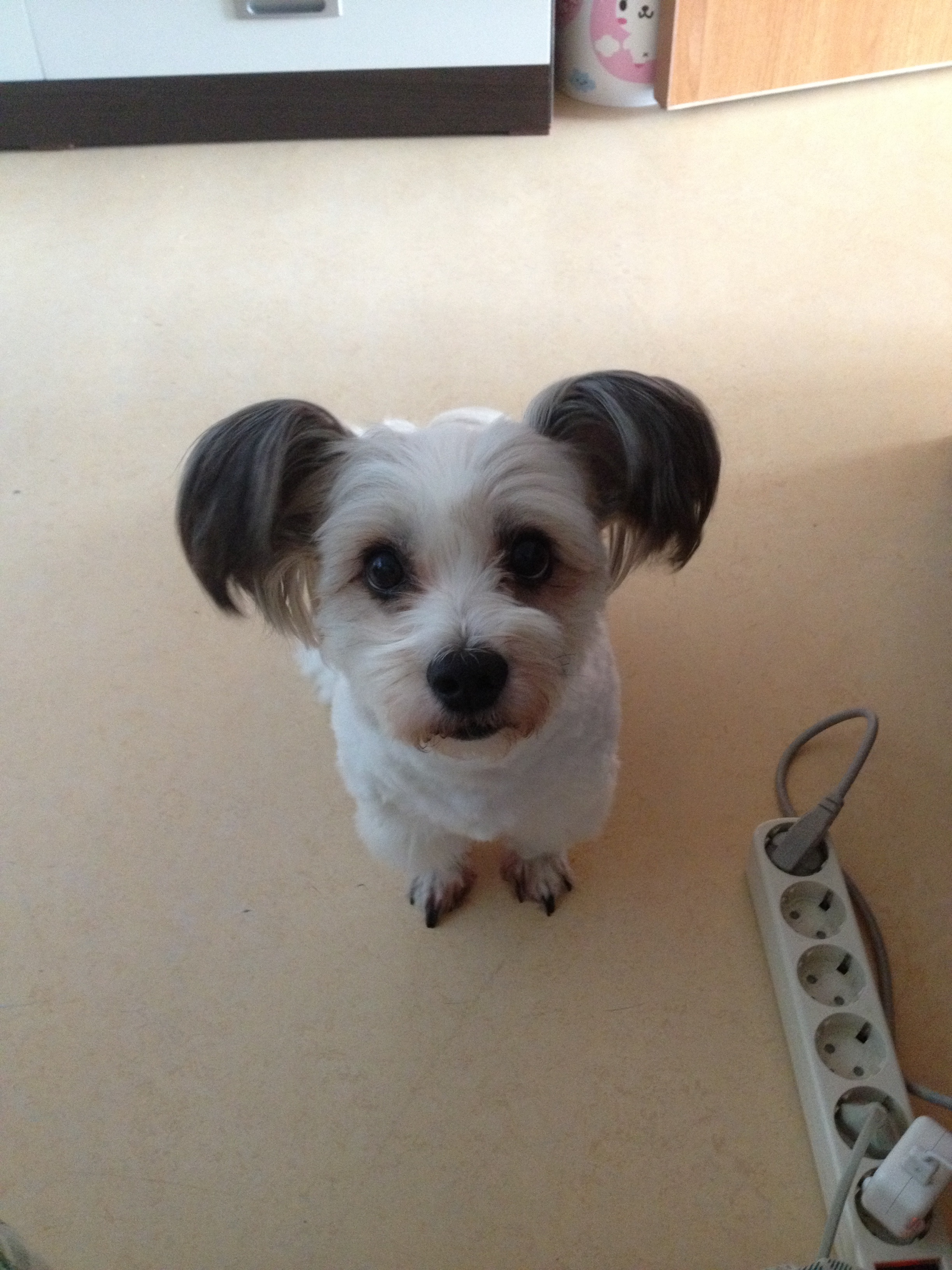 열매네 이사했어용~~~