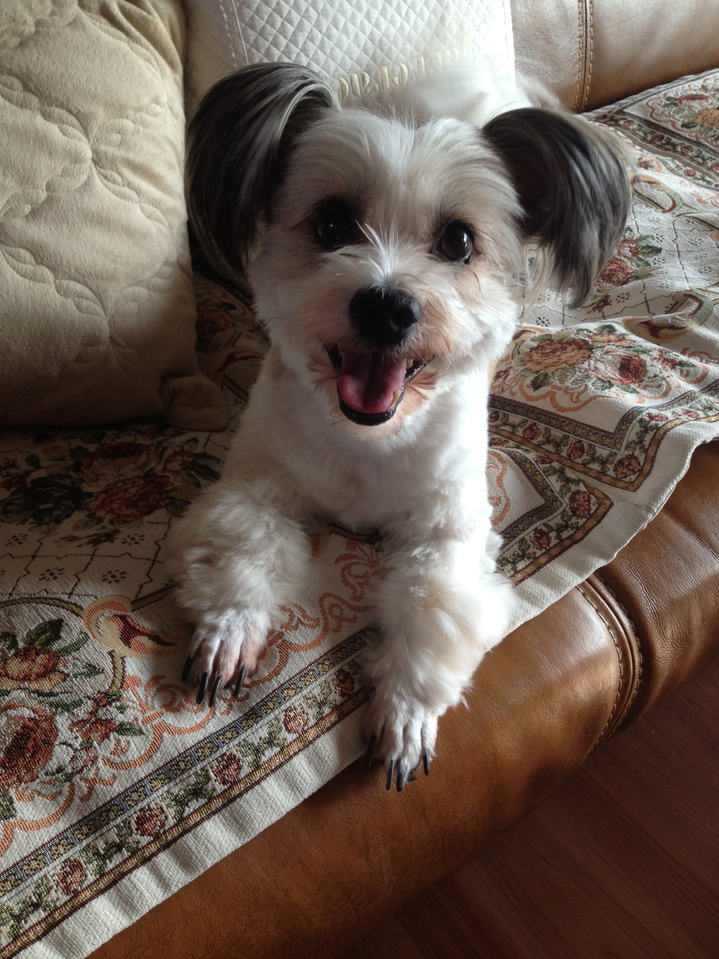 열매네 이사했어용~~~