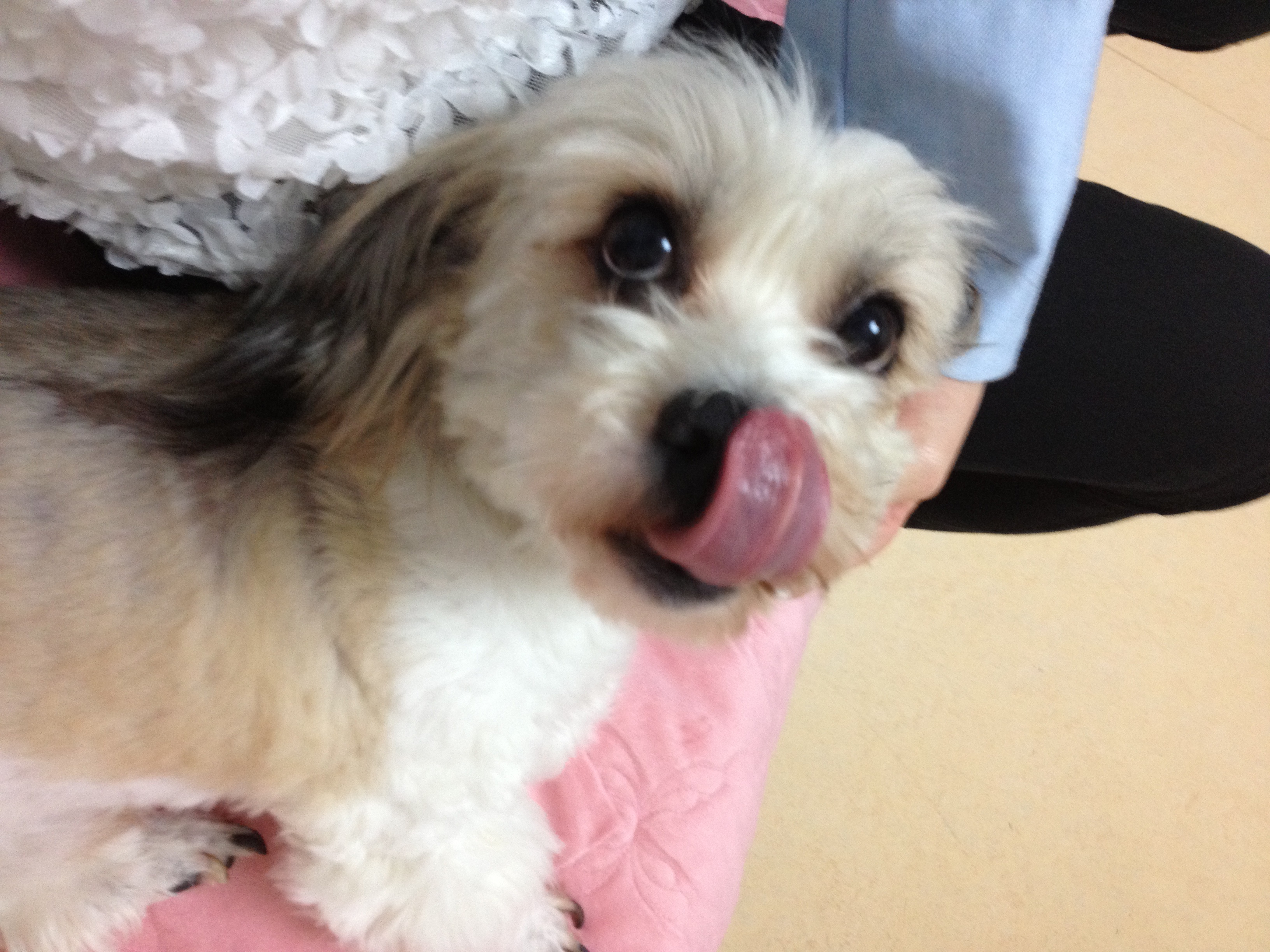 열매네 이사했어용~~~