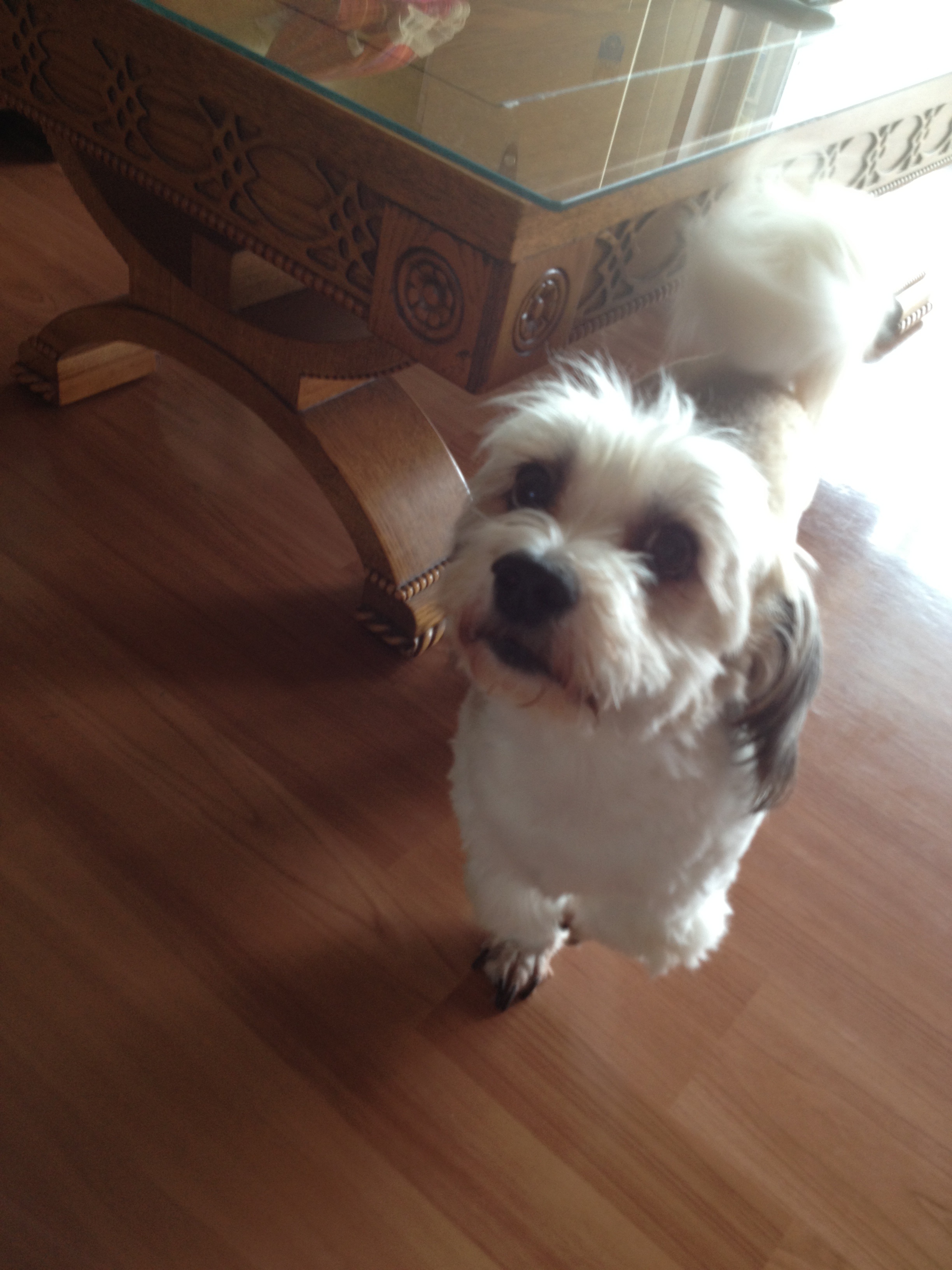 열매네 이사했어용~~~