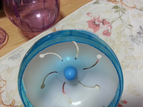 위니와 키니에요~