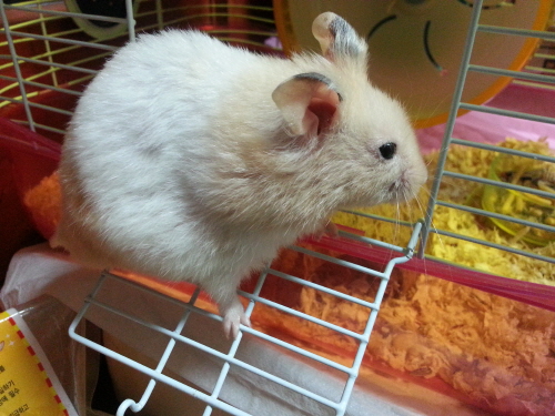 위니와 키니에요~