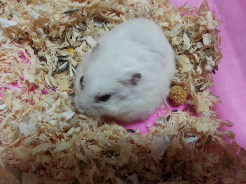 위니와 키니에요~