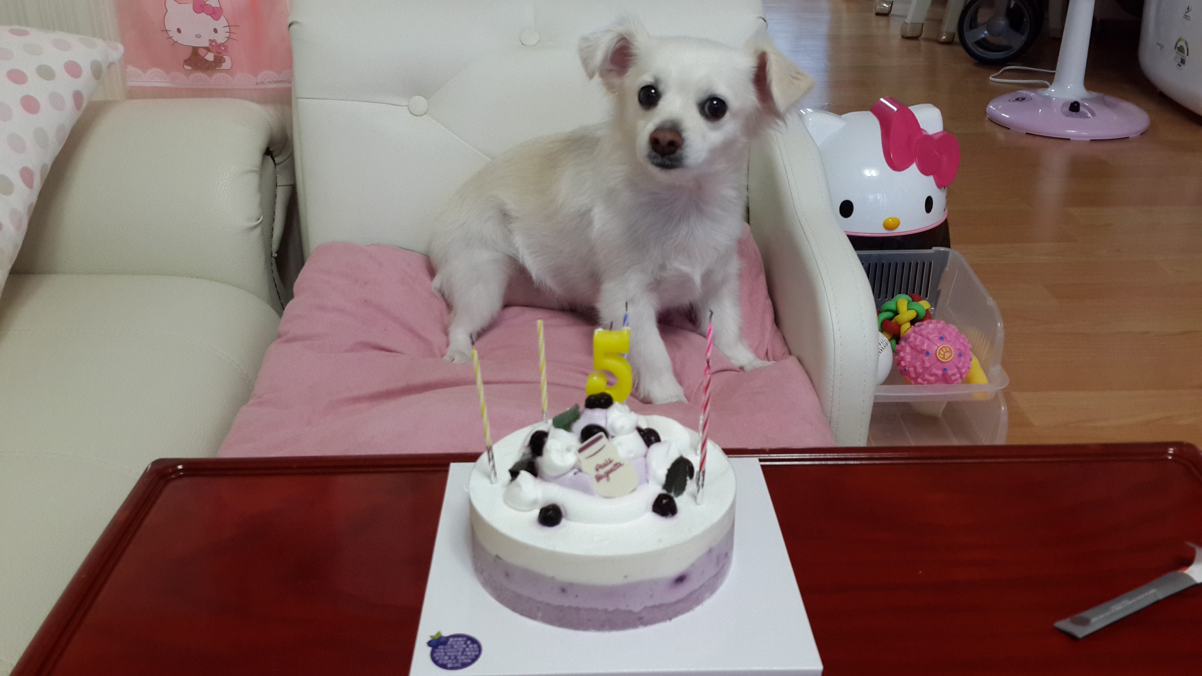 얼마전 제나의 생일...