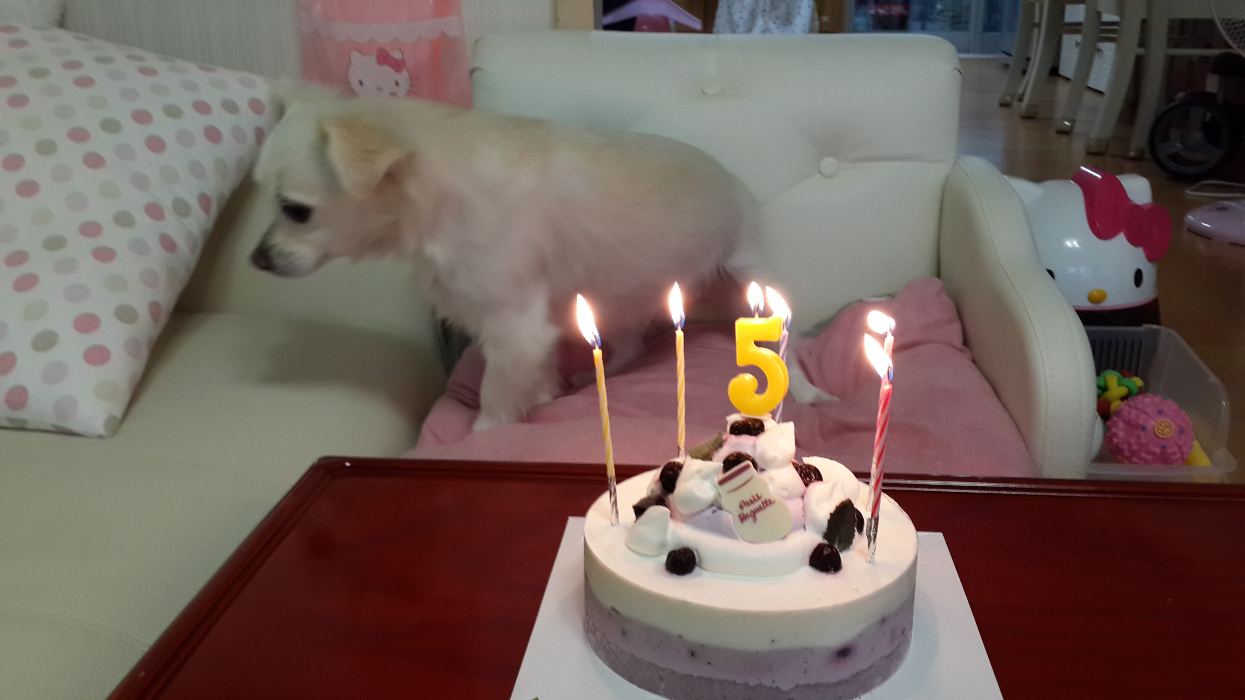 얼마전 제나의 생일...