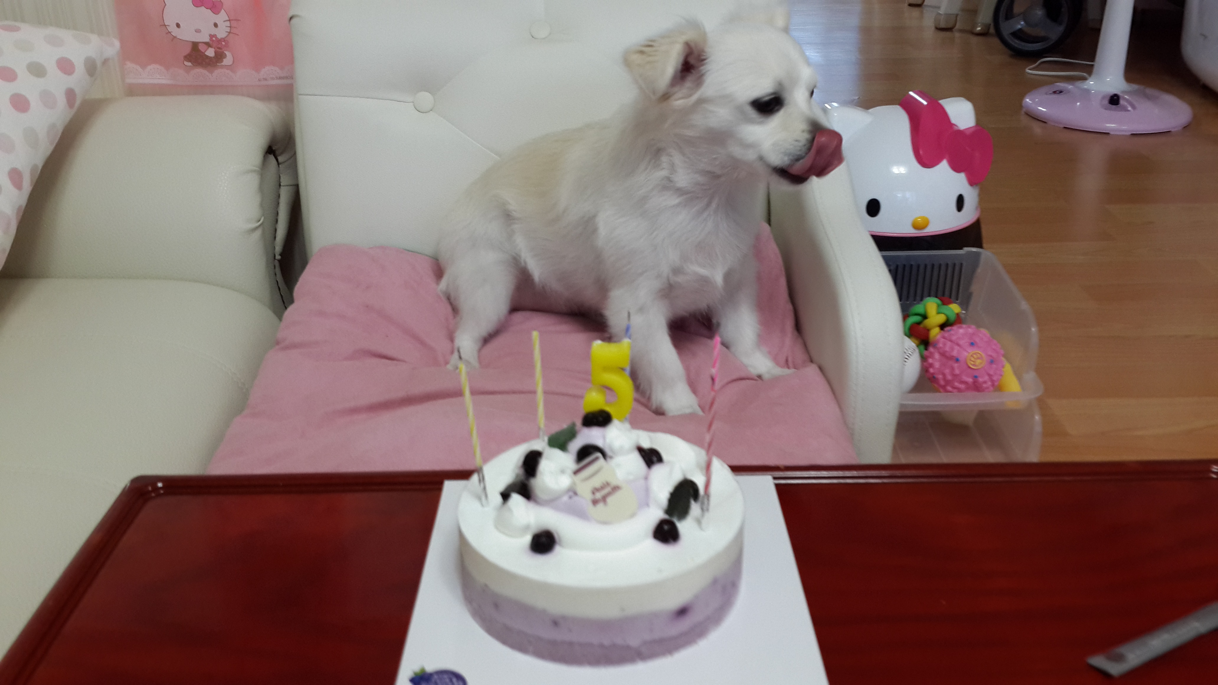 얼마전 제나의 생일...